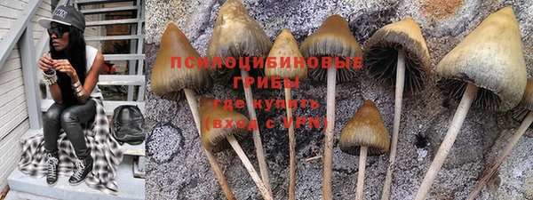 стаф Алексеевка