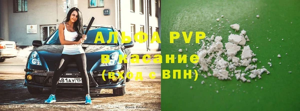 винт Алзамай