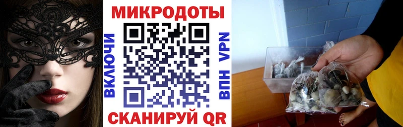 Галлюциногенные грибы Psilocybine cubensis Малоархангельск